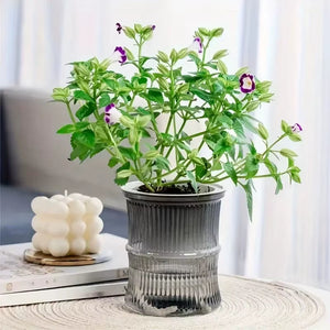 Self Watering Flowerpot Automatic Water Absorbing Flowerpot Transparent Double Layer Plastic Succulent Plant Pot Decorative Pot