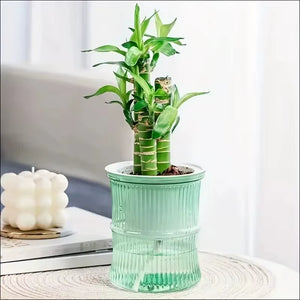 Self Watering Flowerpot Automatic Water Absorbing Flowerpot Transparent Double Layer Plastic Succulent Plant Pot Decorative Pot