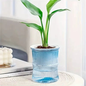 Self Watering Flowerpot Automatic Water Absorbing Flowerpot Transparent Double Layer Plastic Succulent Plant Pot Decorative Pot