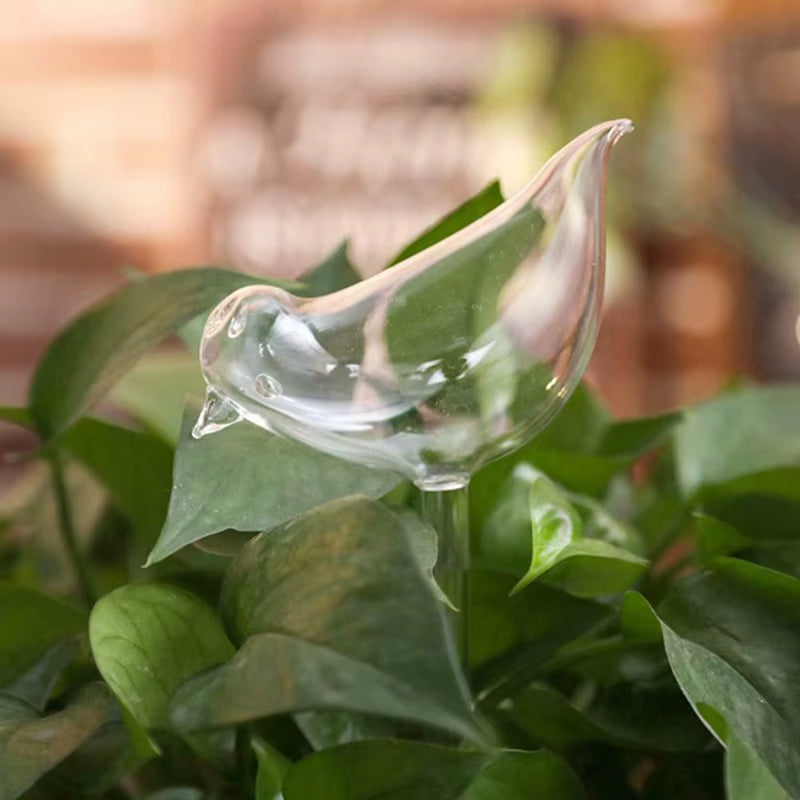 Plant Waterer Self Watering Globes, Bird Shape Hand Blown Clear Aqua Bulbs