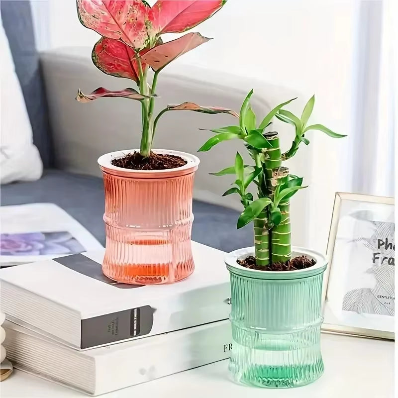 Self Watering Flowerpot Automatic Water Absorbing Flowerpot Transparent Double Layer Plastic Succulent Plant Pot Decorative Pot