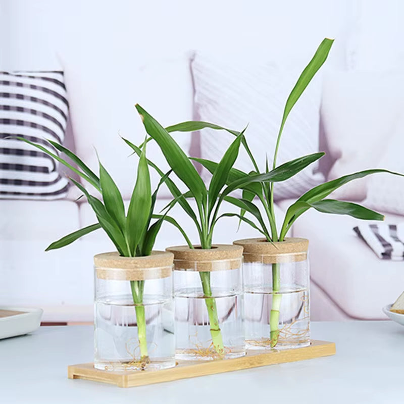 1Pc Transparent Hydroponic Flower Pot Glass Soilless Planting Potted Green Plant Flower Pot Home Vase Decoration