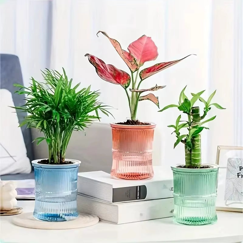 Self Watering Flowerpot Automatic Water Absorbing Flowerpot Transparent Double Layer Plastic Succulent Plant Pot Decorative Pot